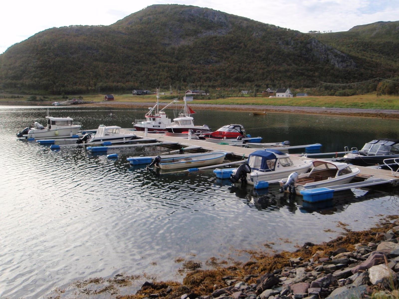 Sjursjok 21