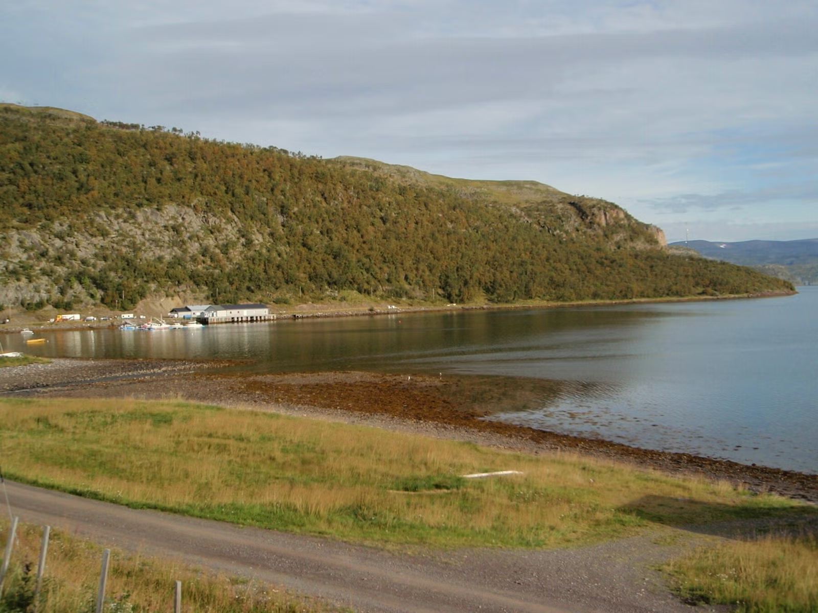Sjursjok 22